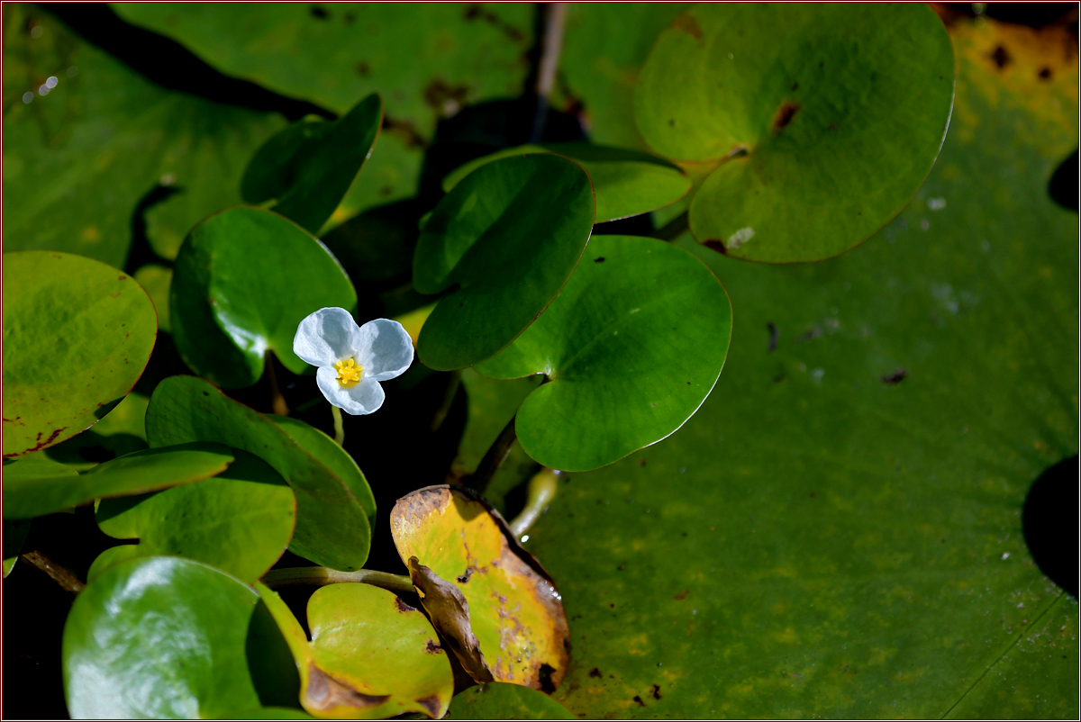 DSC_6682.jpg
