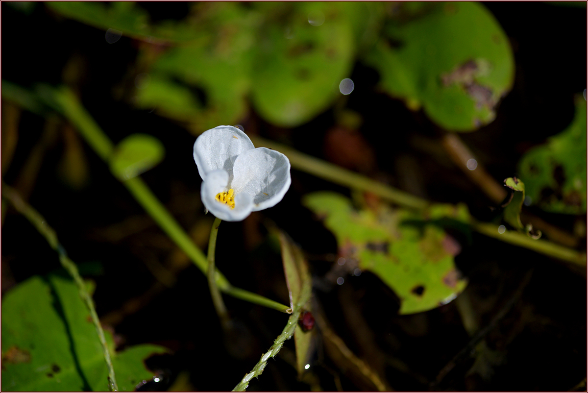 DSC_6669.jpg