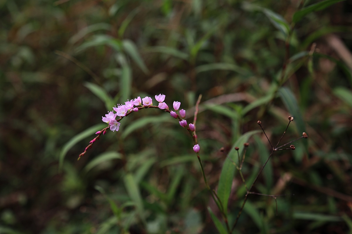 22-09-14 (242)-1.JPG