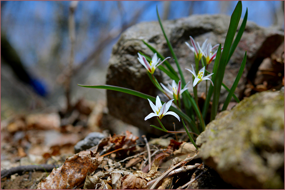 DSC_9162.jpg