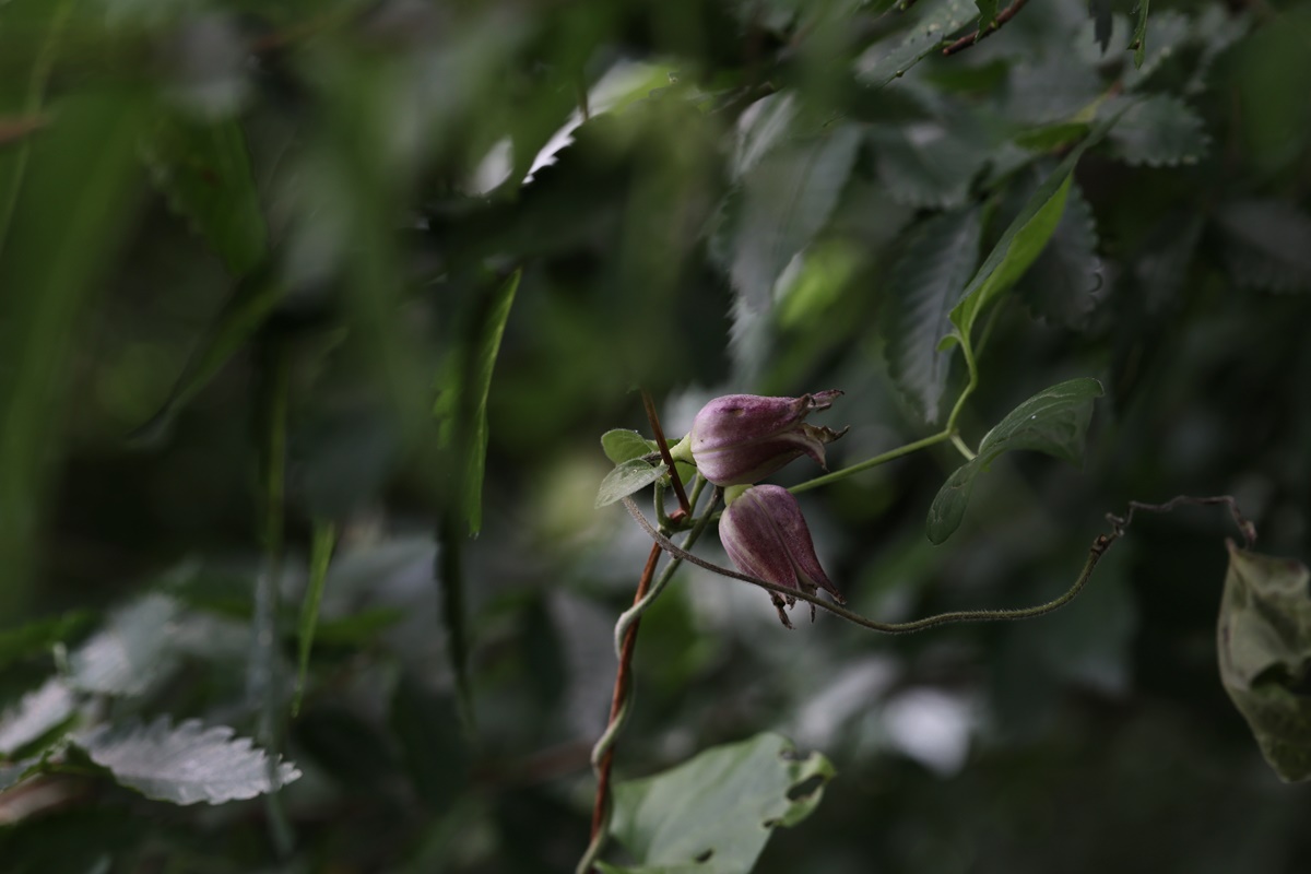 22-06-28 (126)-1.JPG
