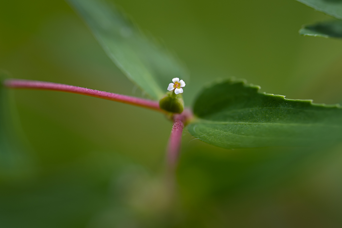 DSC_8584.jpg