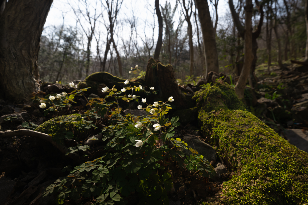 DSC_9759.jpg