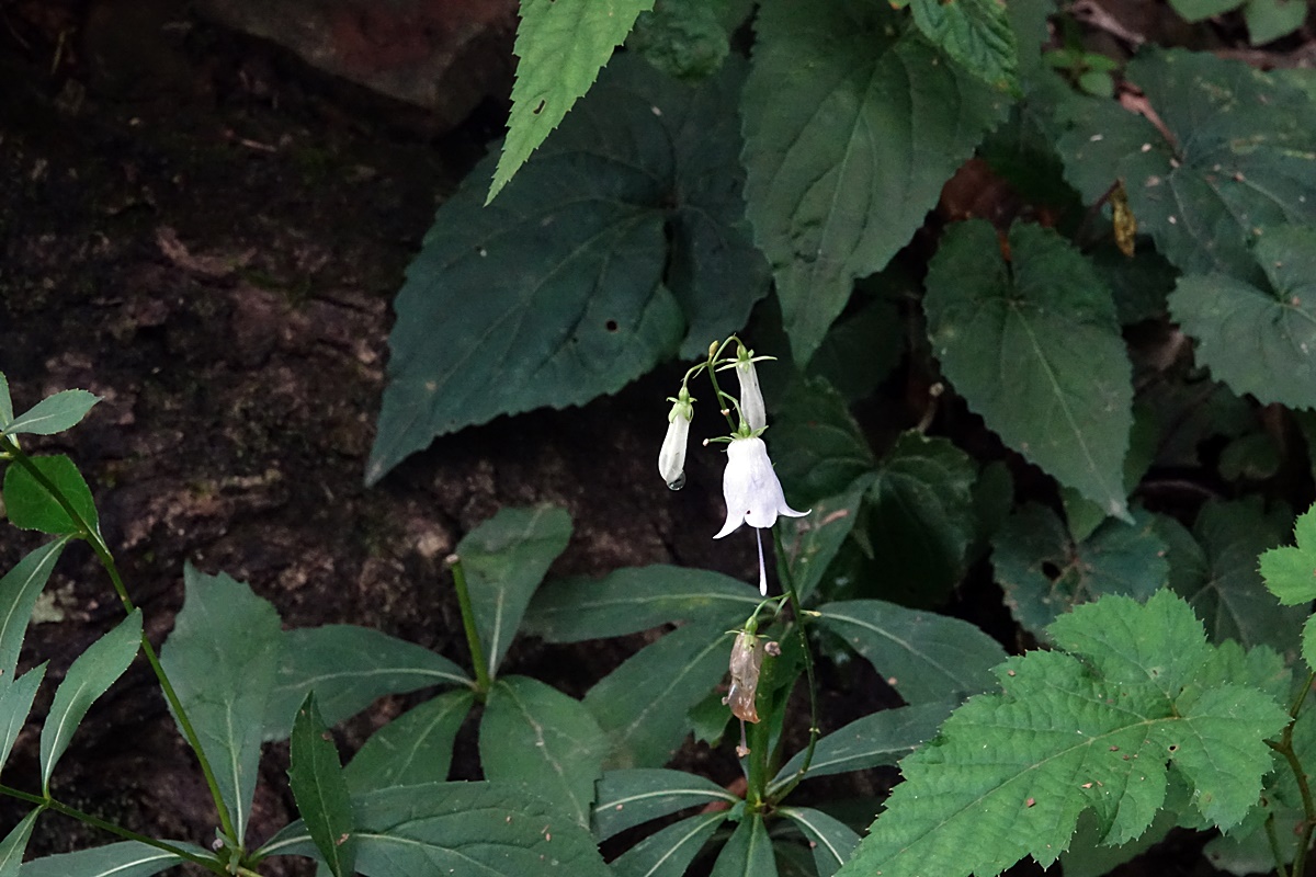 25-09-07 (211)-1.JPG