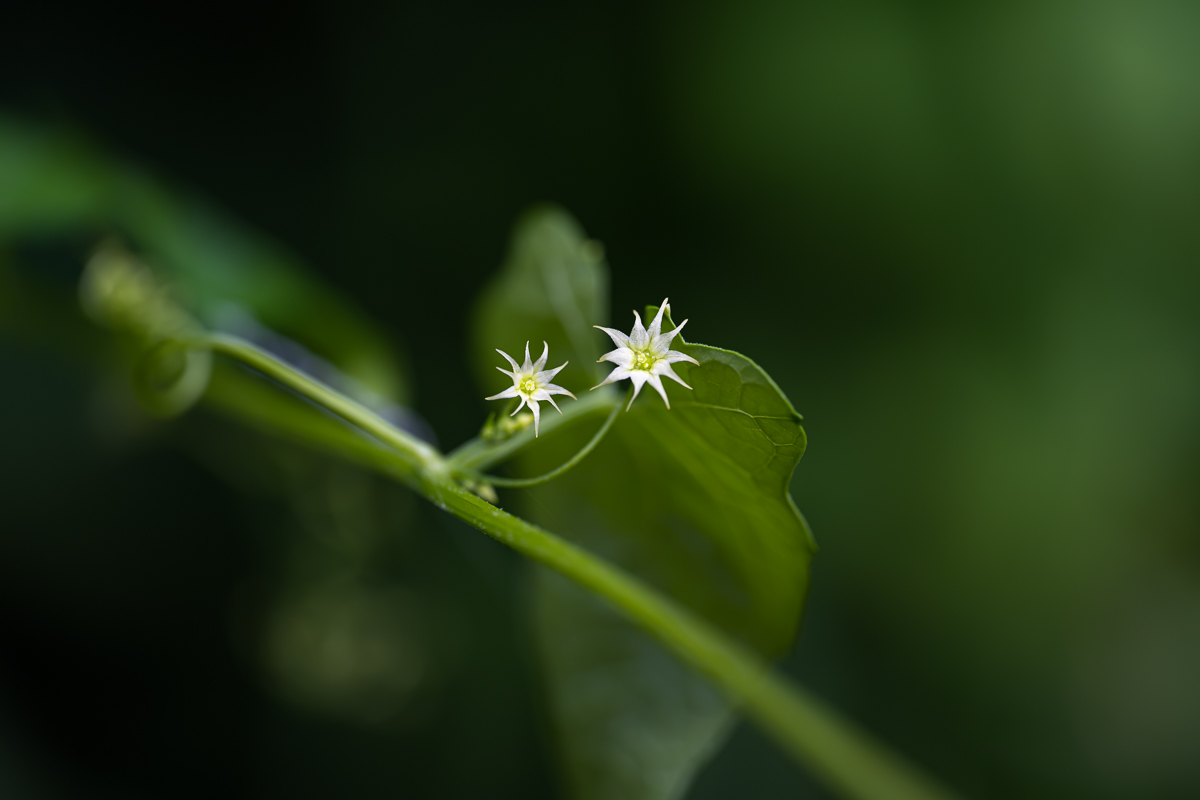 DSC_8298.jpg