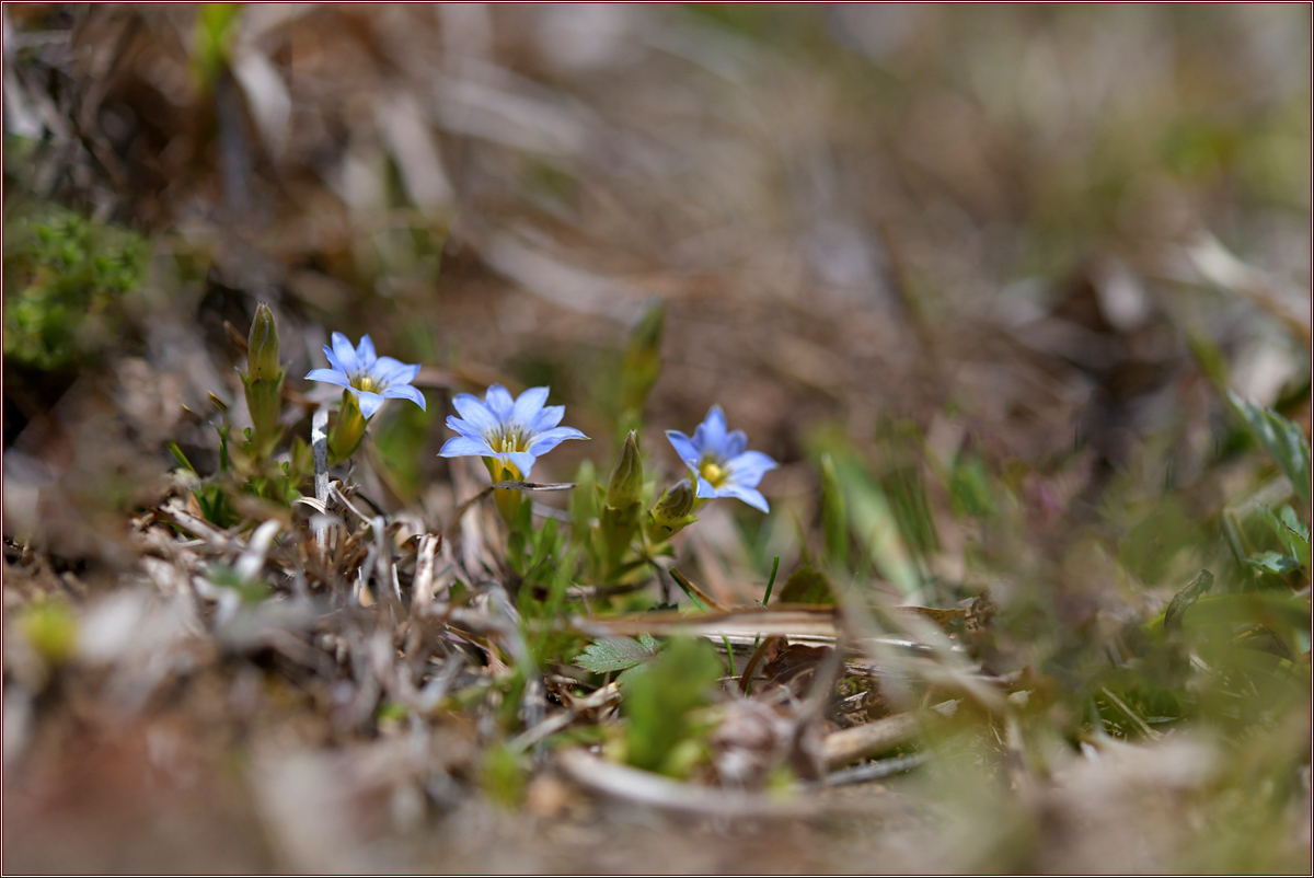 DSC_8263.jpg