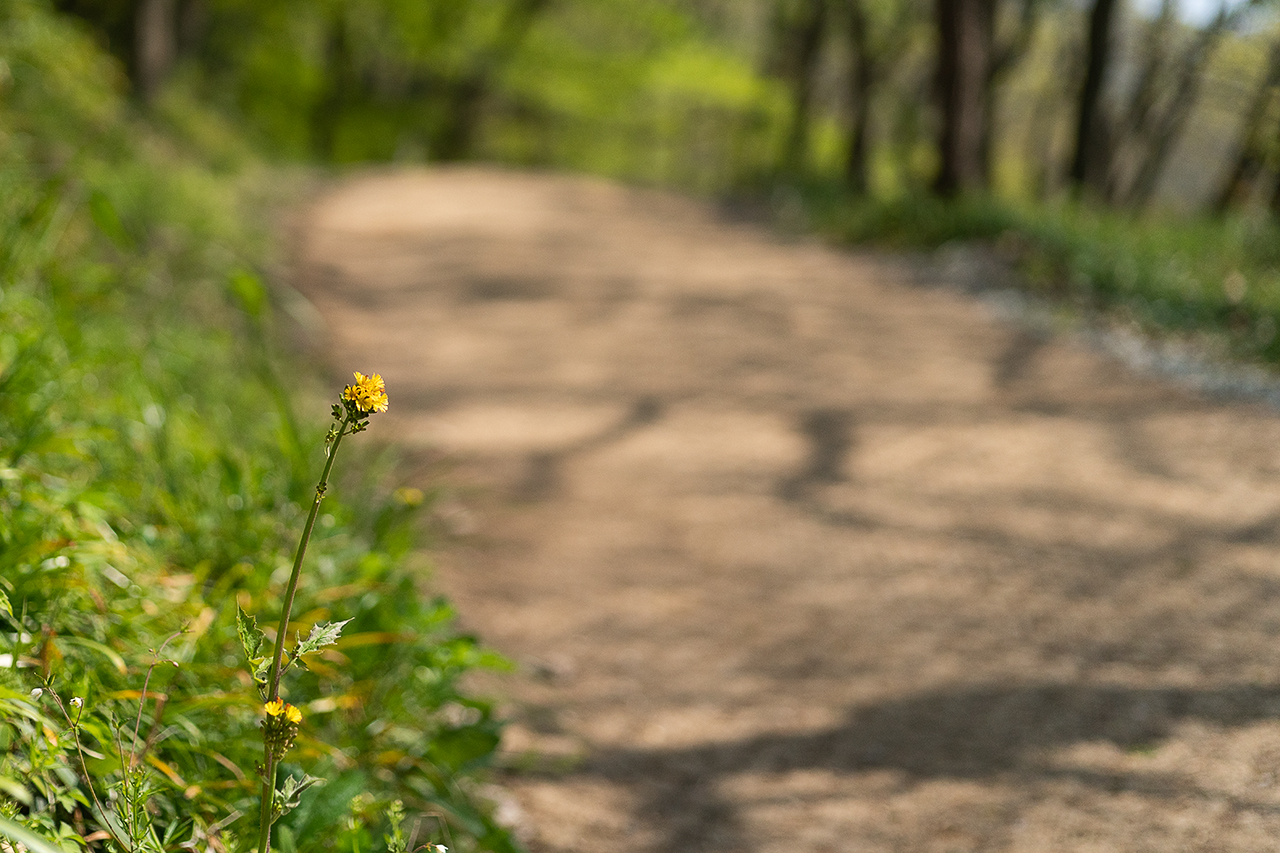 _DSC5846 복사.jpg