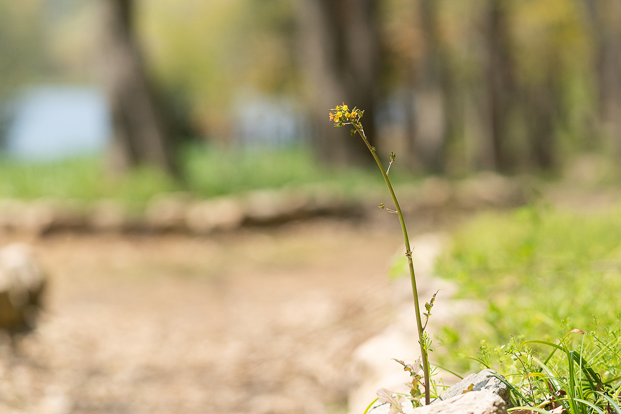 _DSC5836 복사.jpg