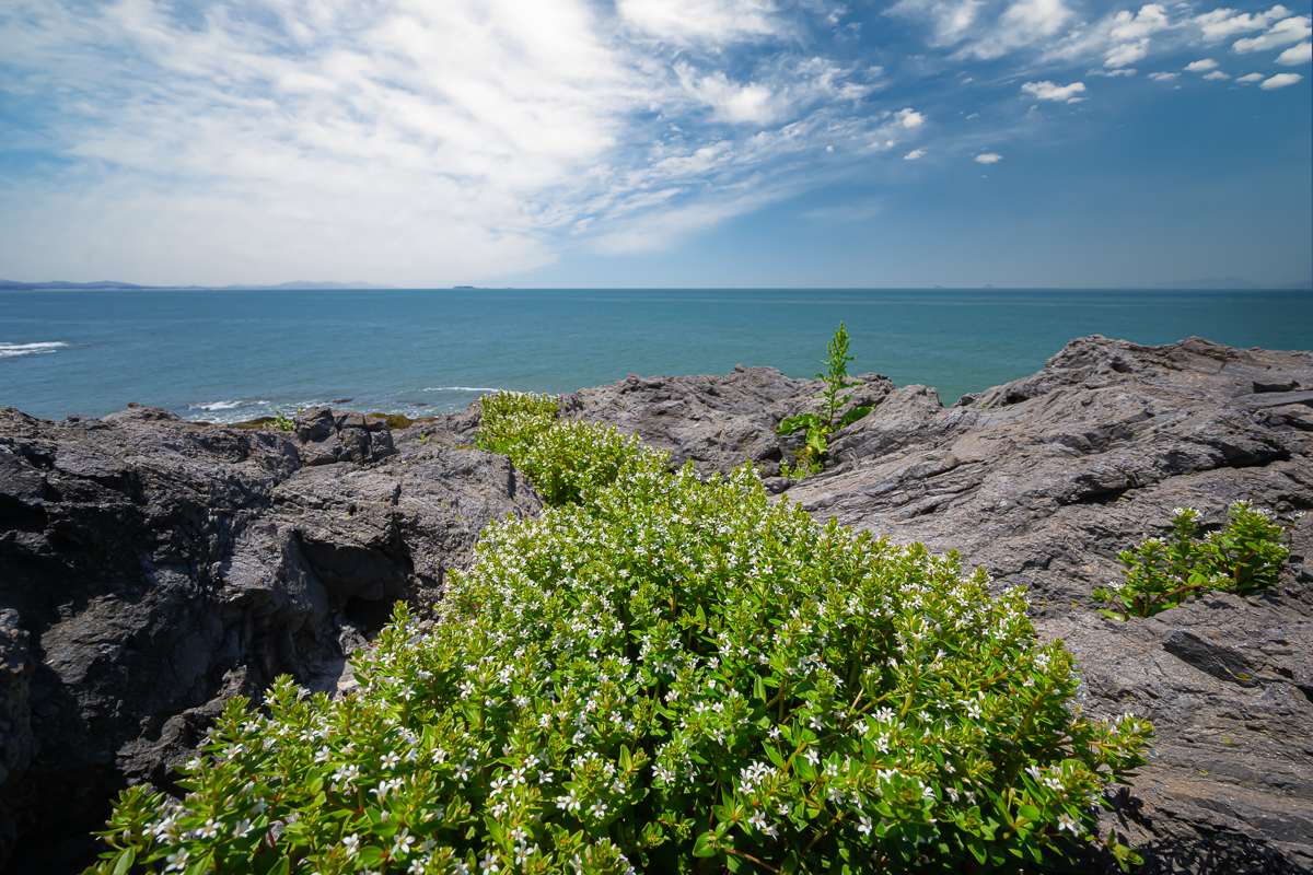 DSC_0105.jpg