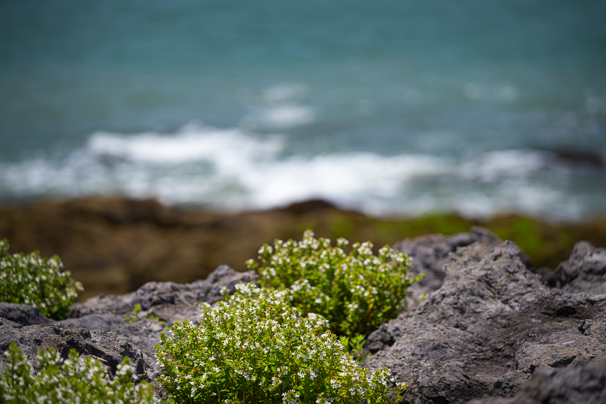DSC_0152.jpg