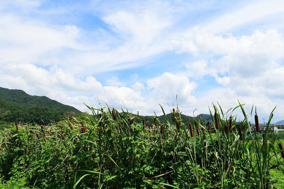 DSC_0416.jpg