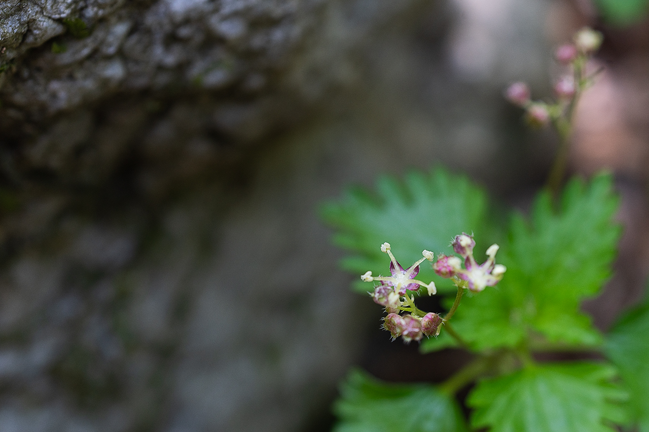 _DSC5754 복사.jpg