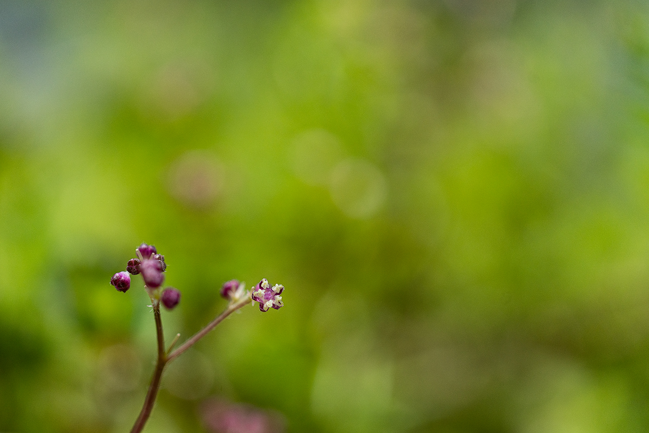 _DSC5851 복사.jpg