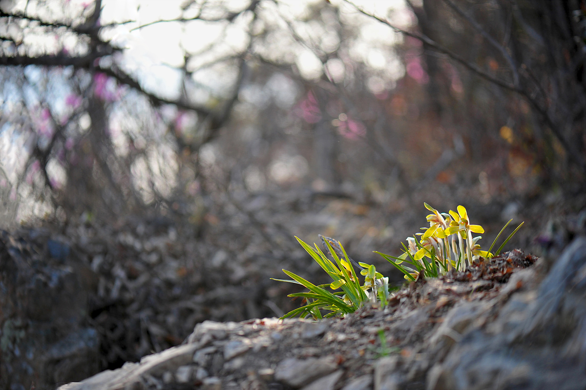 DSC_5917a.jpg