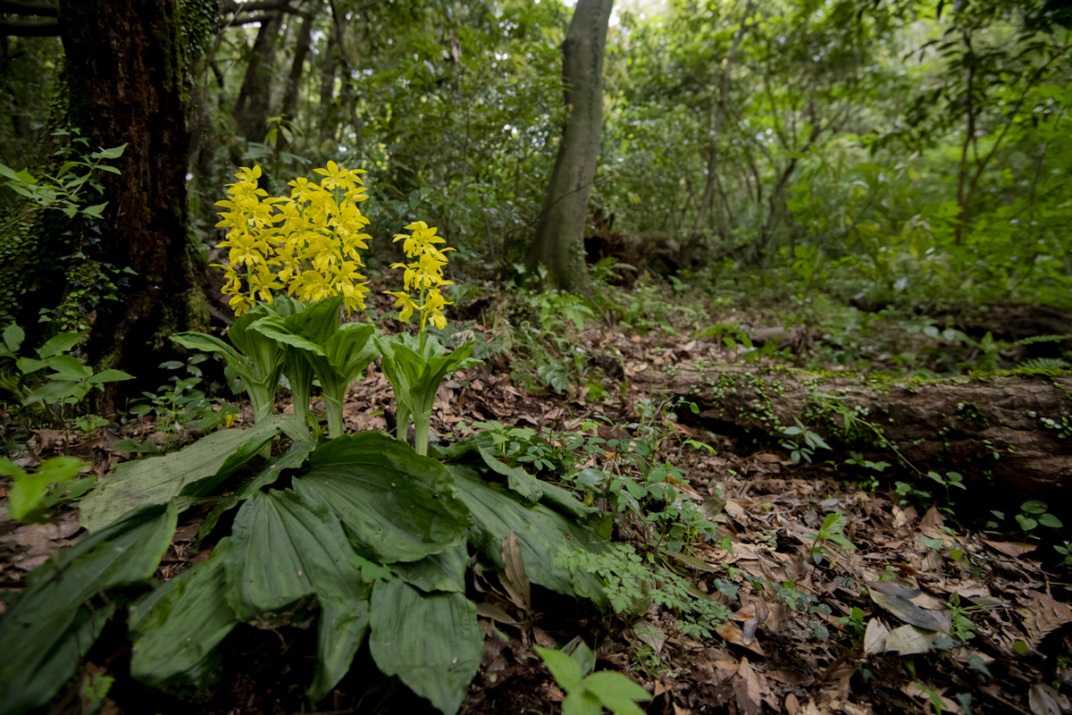 DSC_5248aaa1.jpg