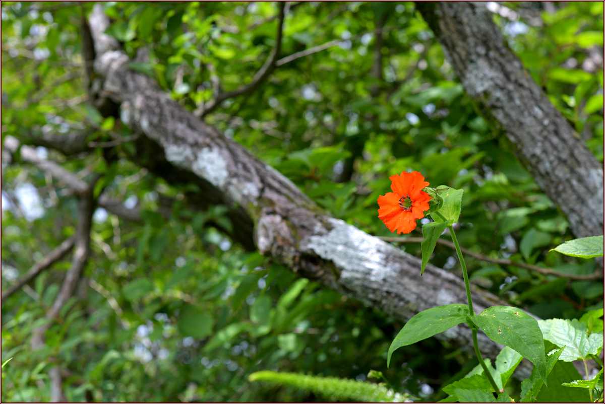 DSC_4050.jpg