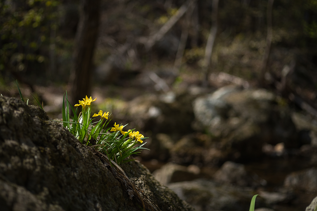 _DSC5504 복사.jpg
