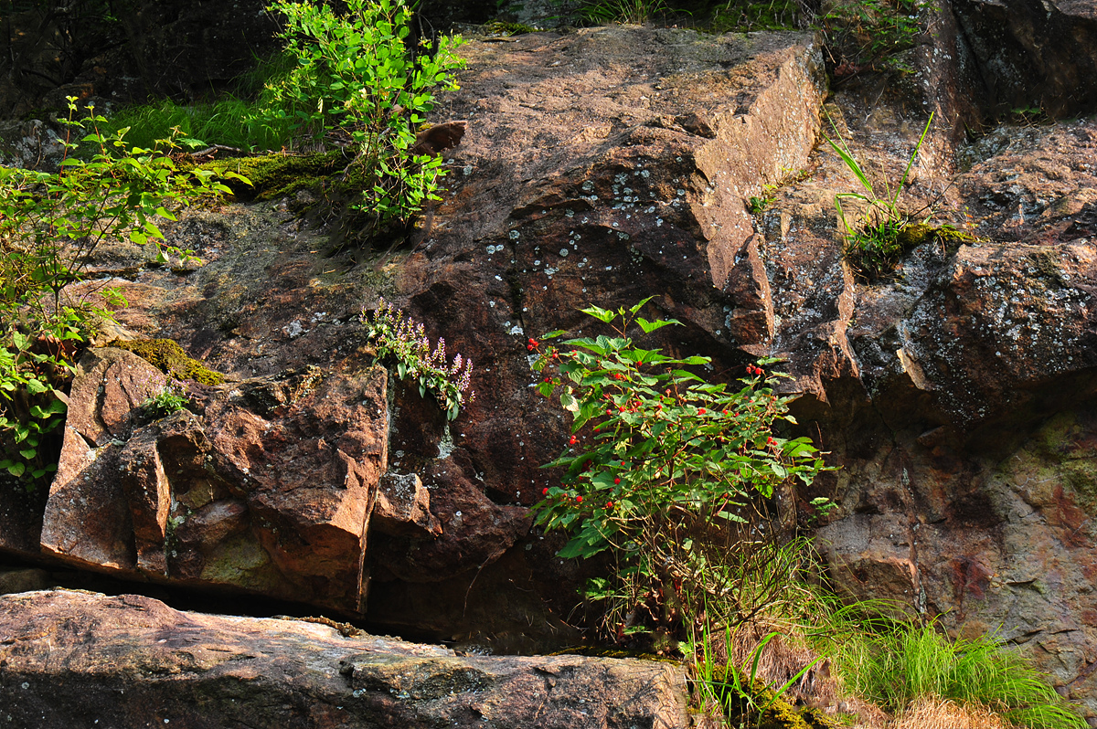 DSC_8566aaa.jpg
