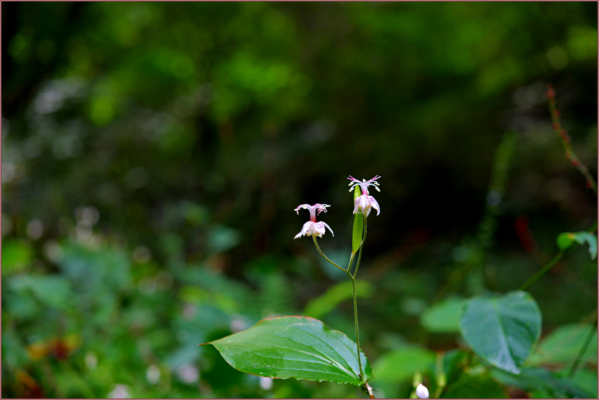 DSC_5813.jpg