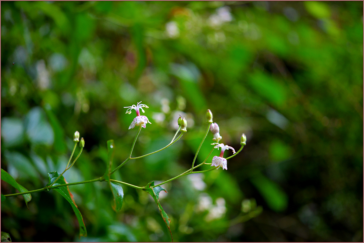 DSC_5827.jpg