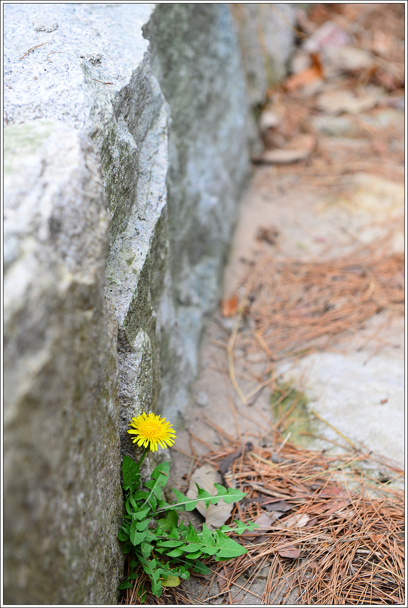 CJH_8158 완.jpg