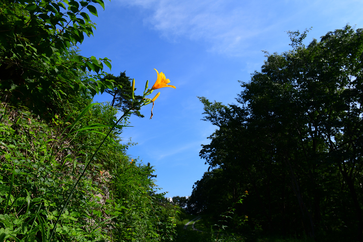 DSC_0685sss.jpg