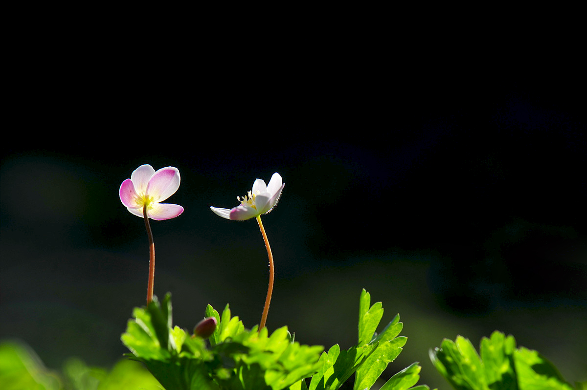 DSC_3075s.jpg