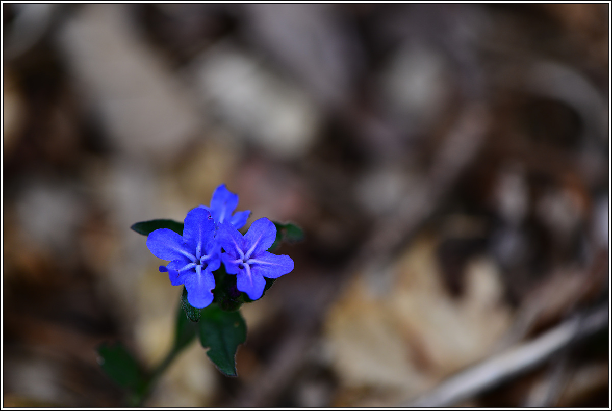 CJH_8178 완.jpg