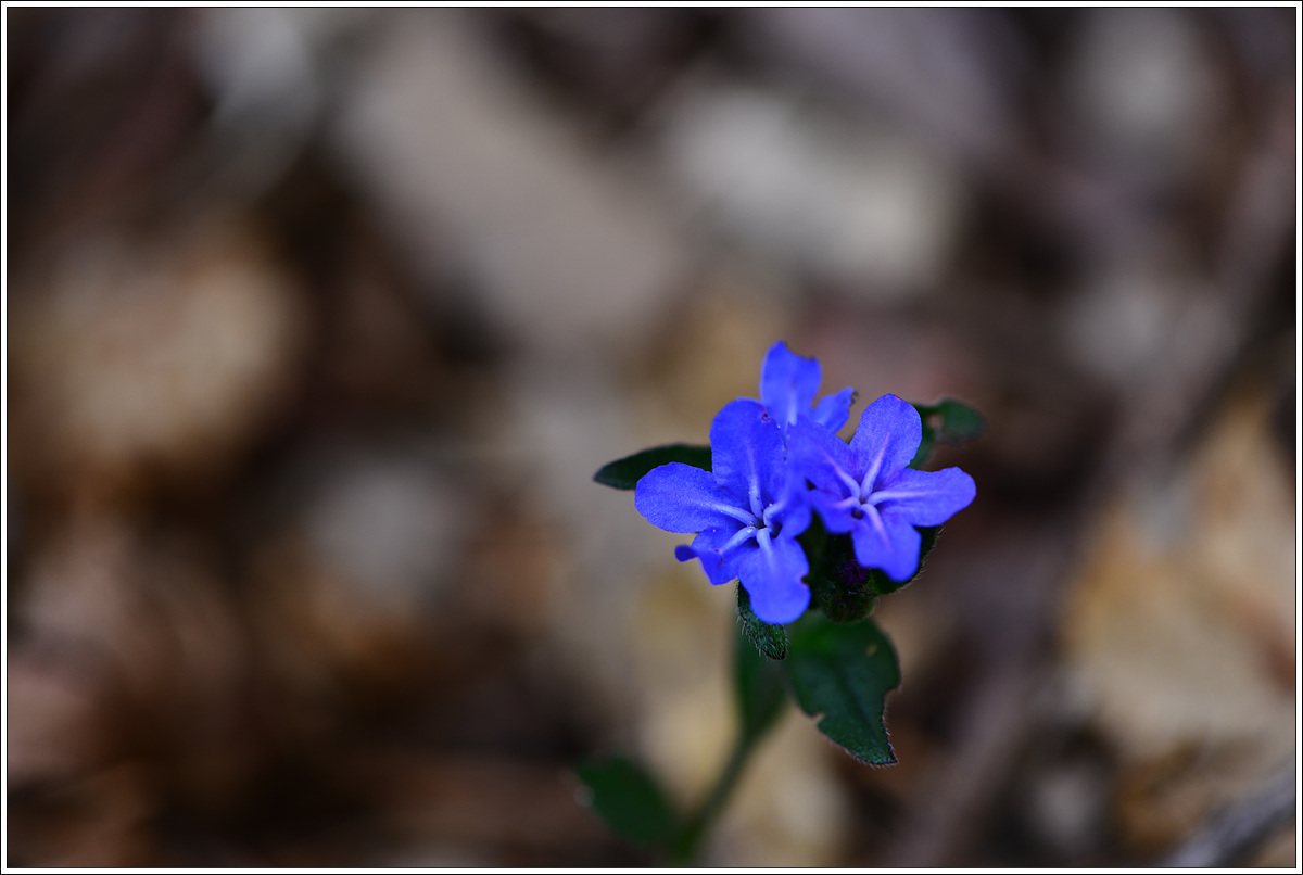 CJH_8176 완.jpg