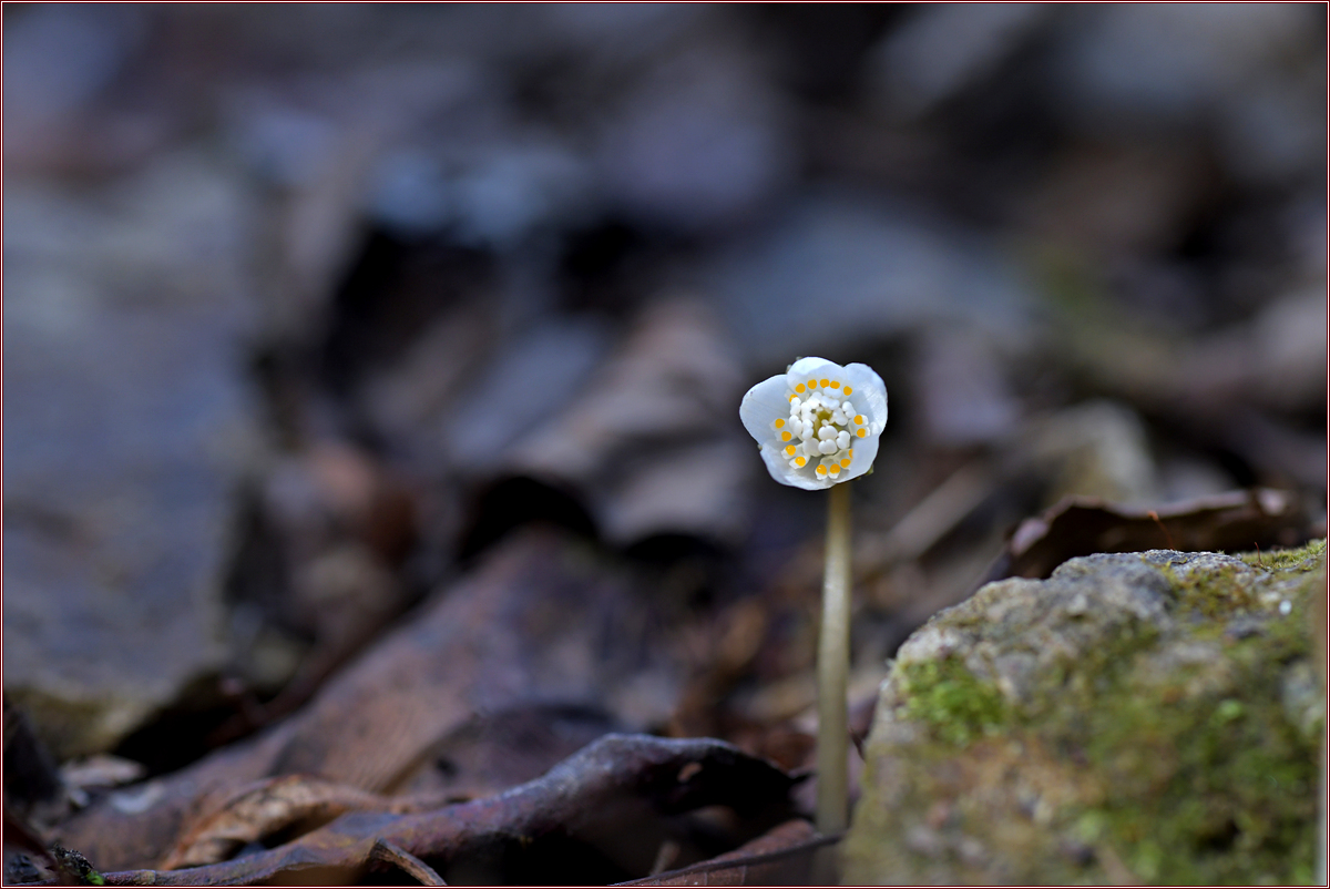 DSC_7861.jpg