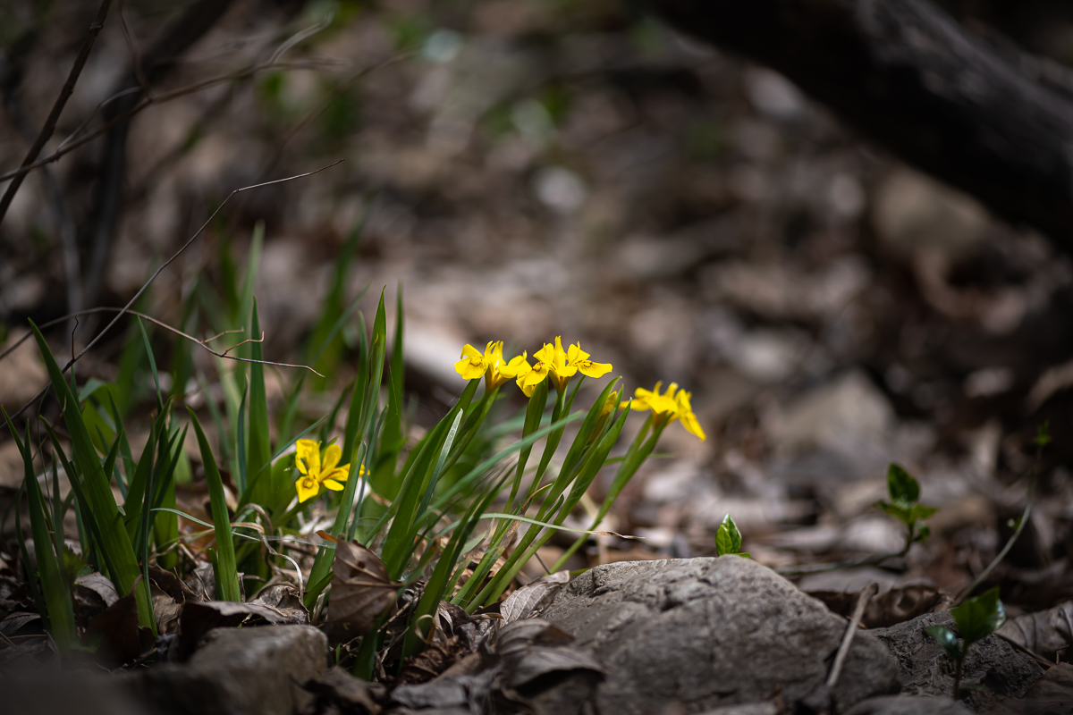 DSC_1944.jpg