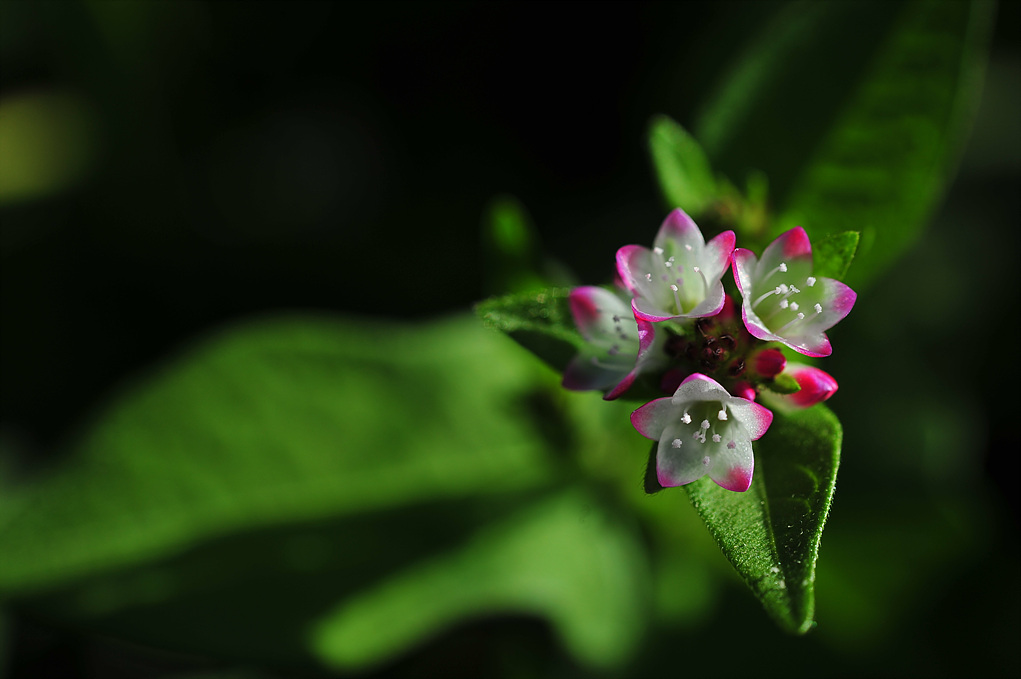 DSC_8159.jpg