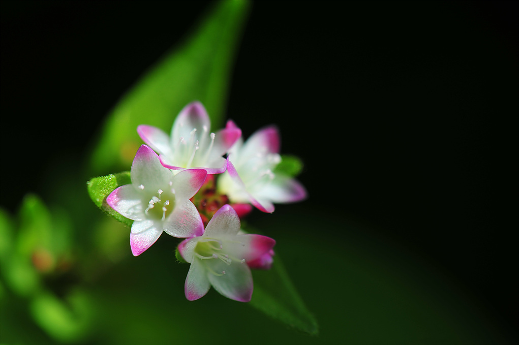 DSC_8055.jpg