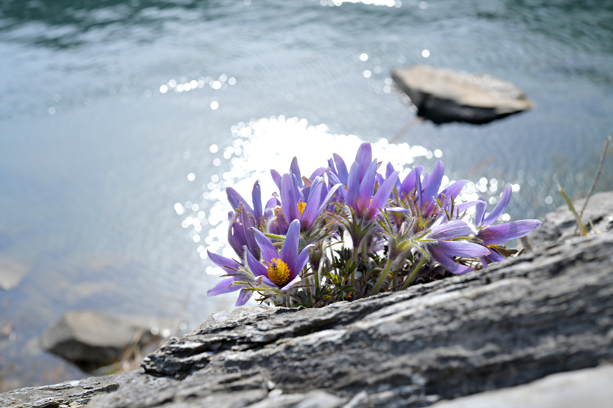DSC_6503.jpg