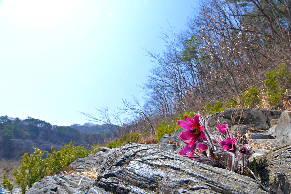 DSC_6339.jpg