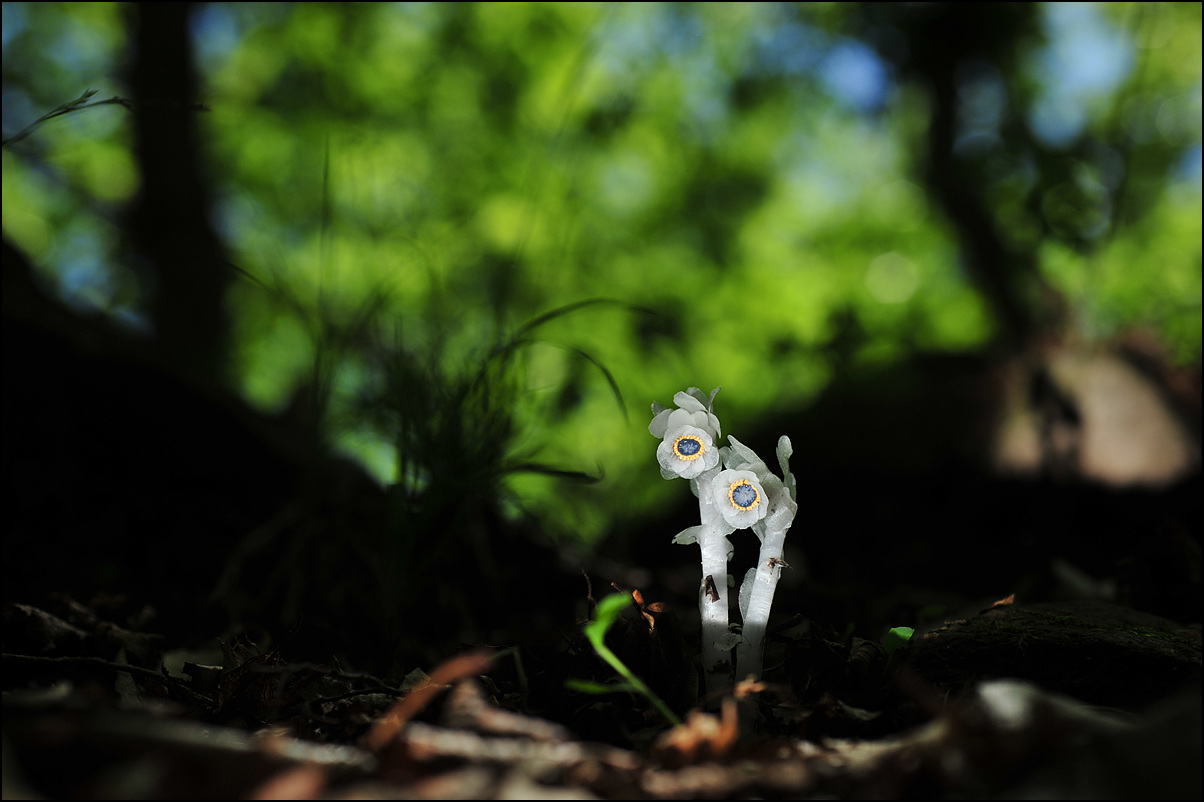 DSC_7193.jpg