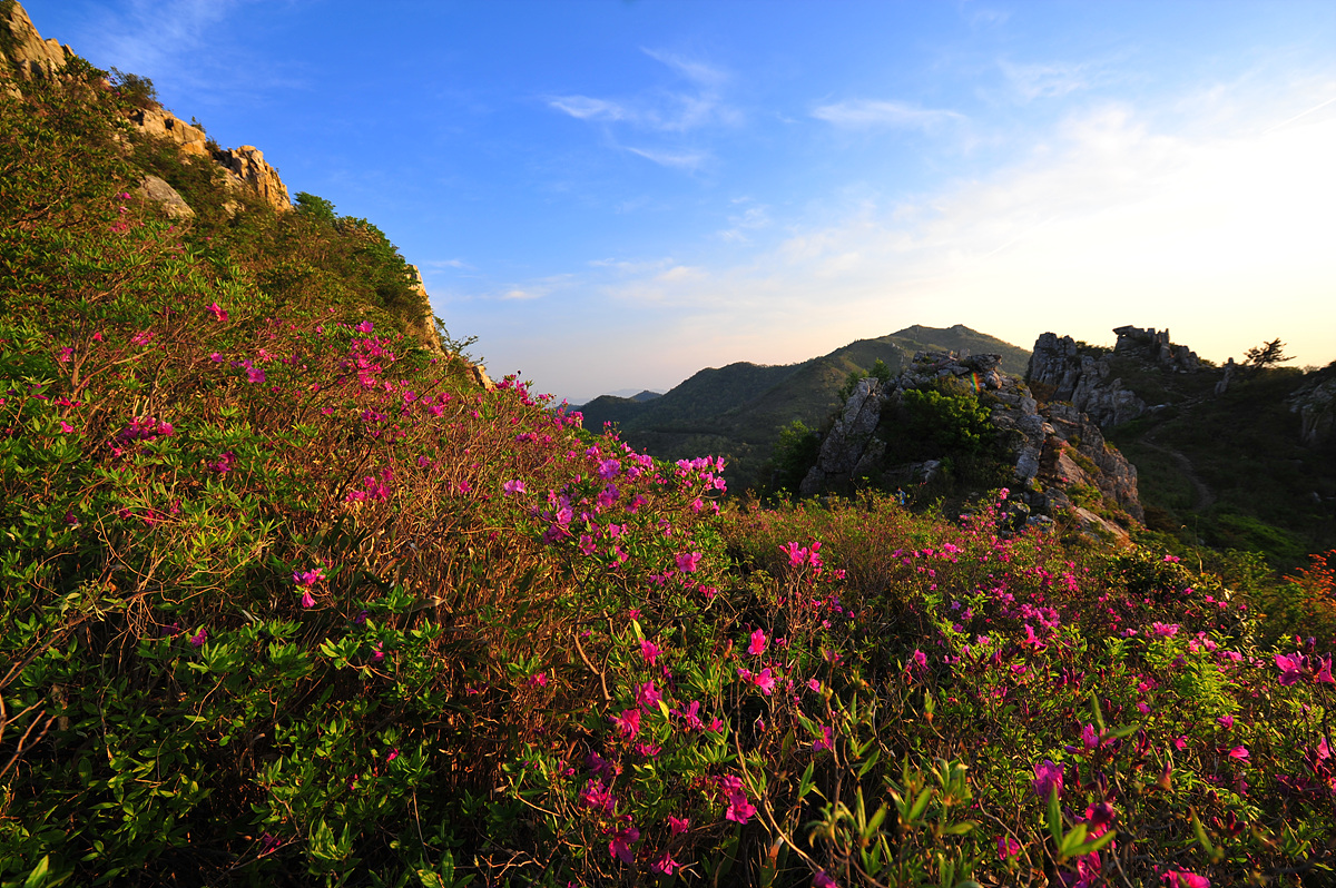 DSC_9896.jpg
