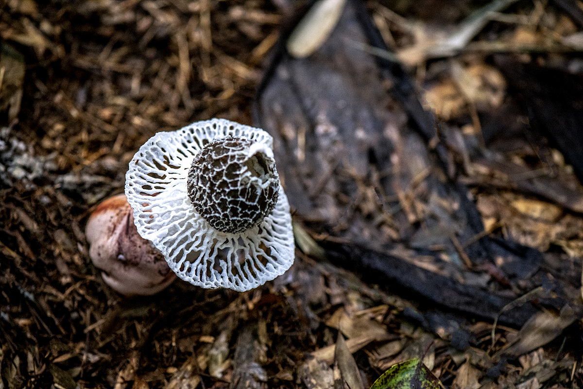 DSC_5061.jpg