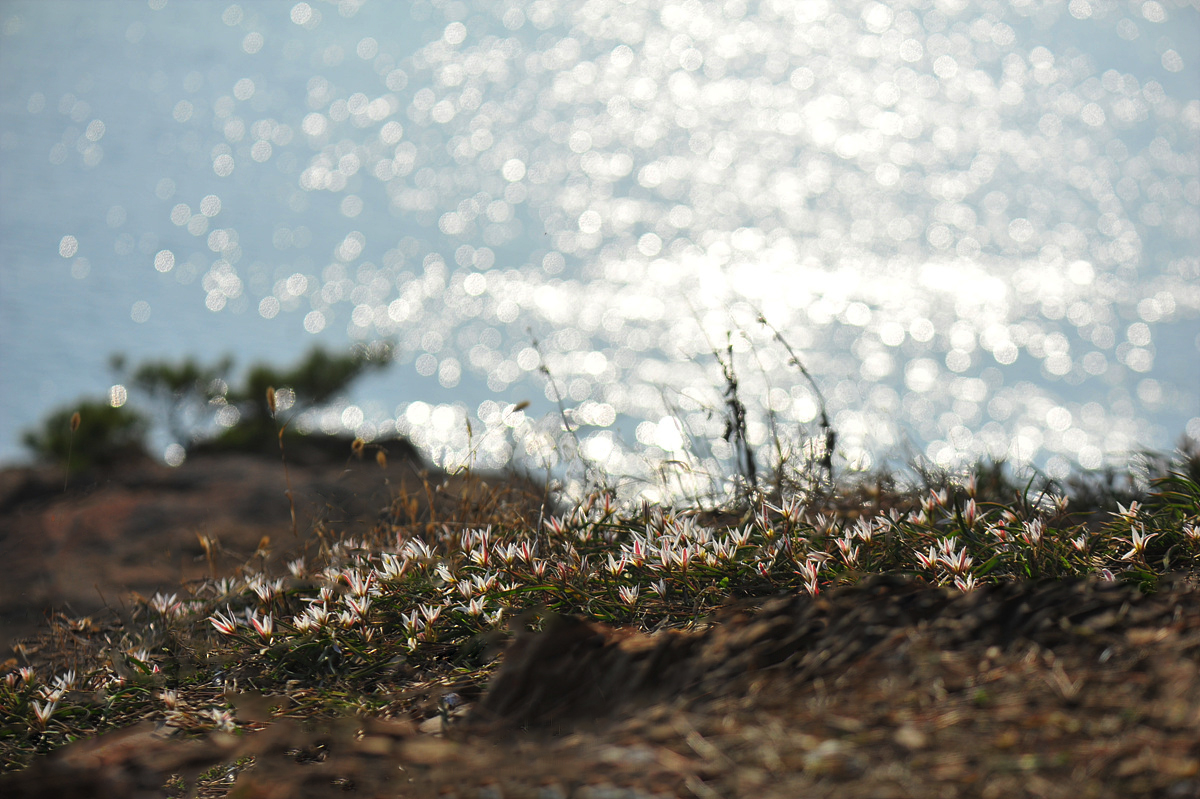 DSC_7500sss.jpg