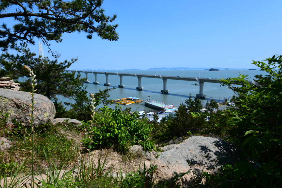 DSC_0110aa.jpg