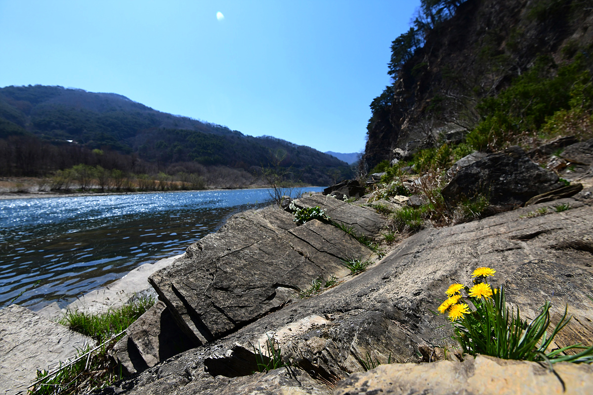 DSC_9589aaa.jpg