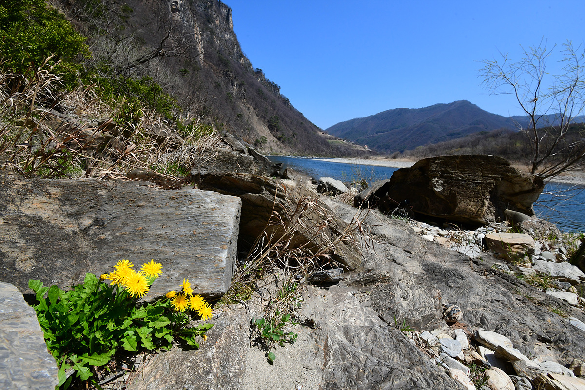 DSC_9594aaa.jpg
