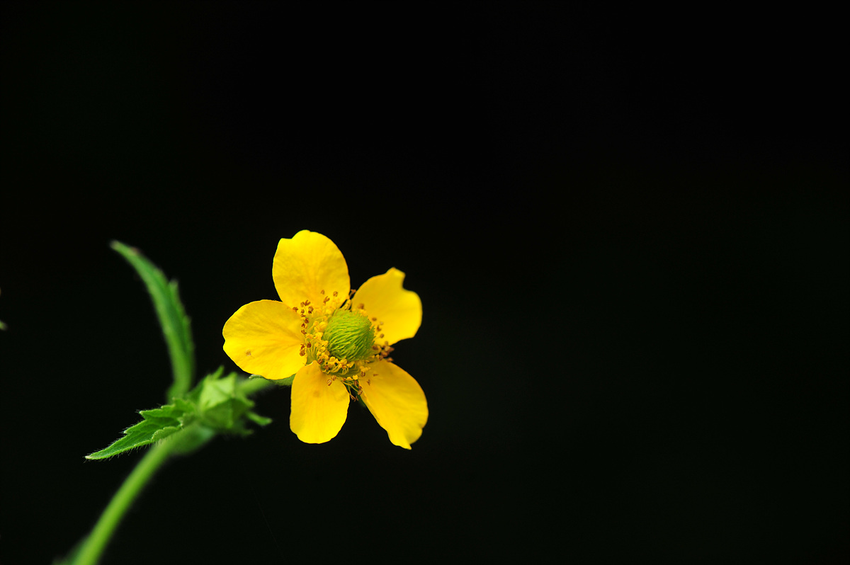 DSC_4659.jpg