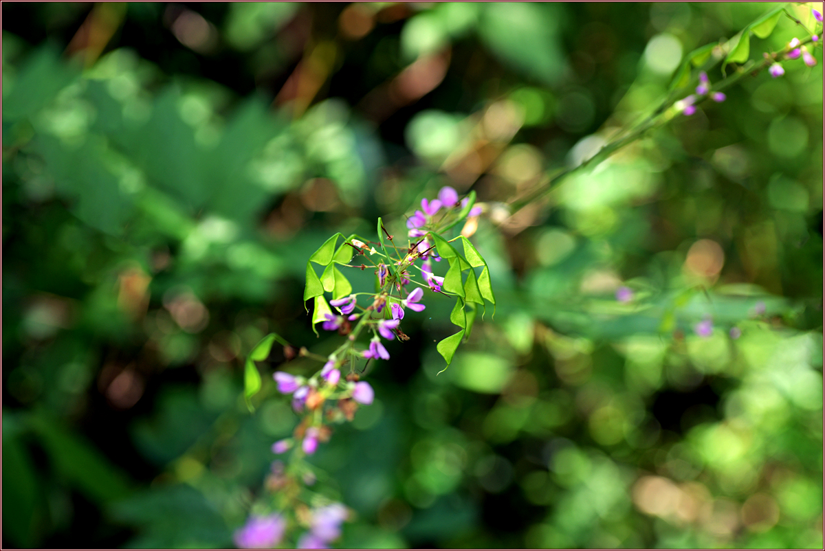 DSC_4561.jpg