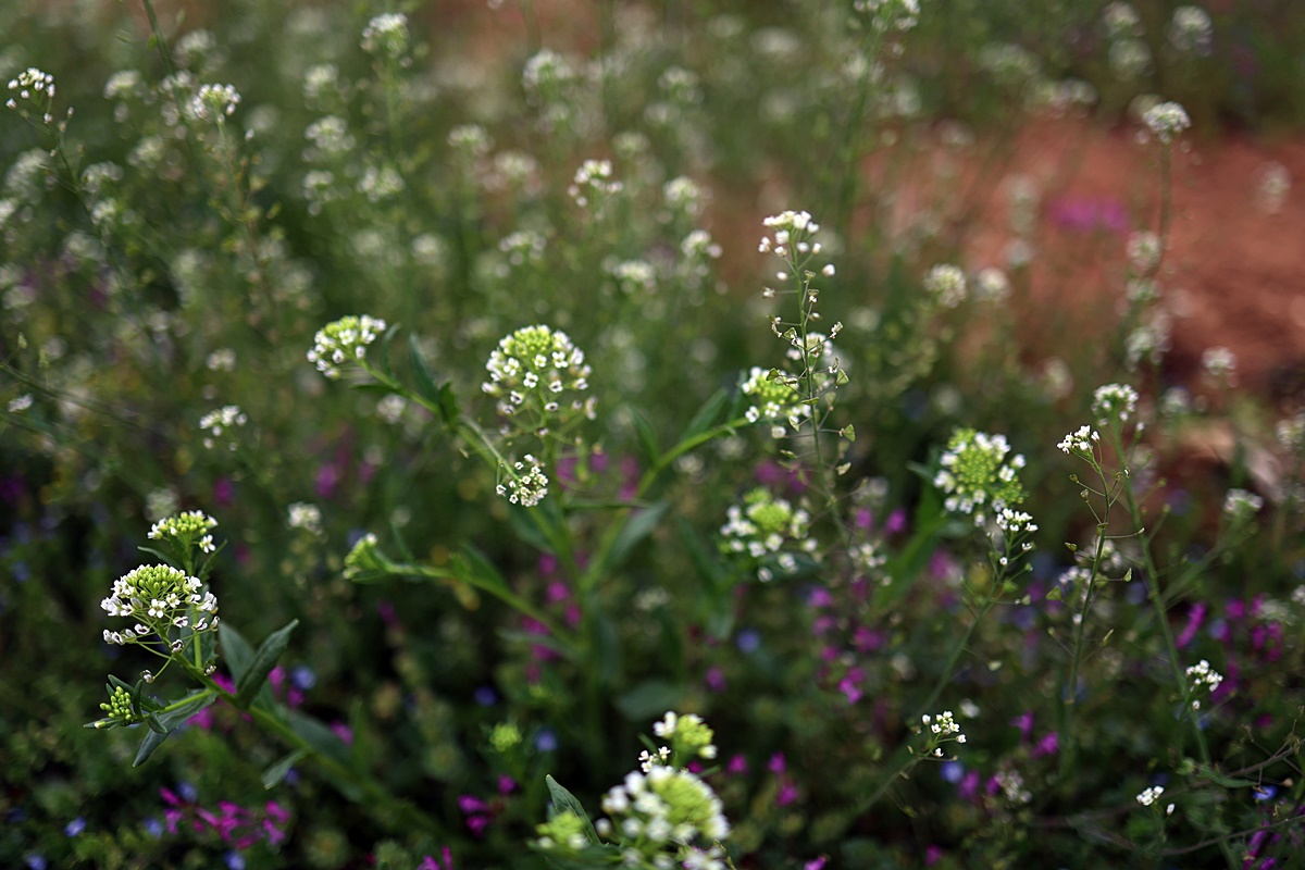 25-04-12 (107)-1.JPG