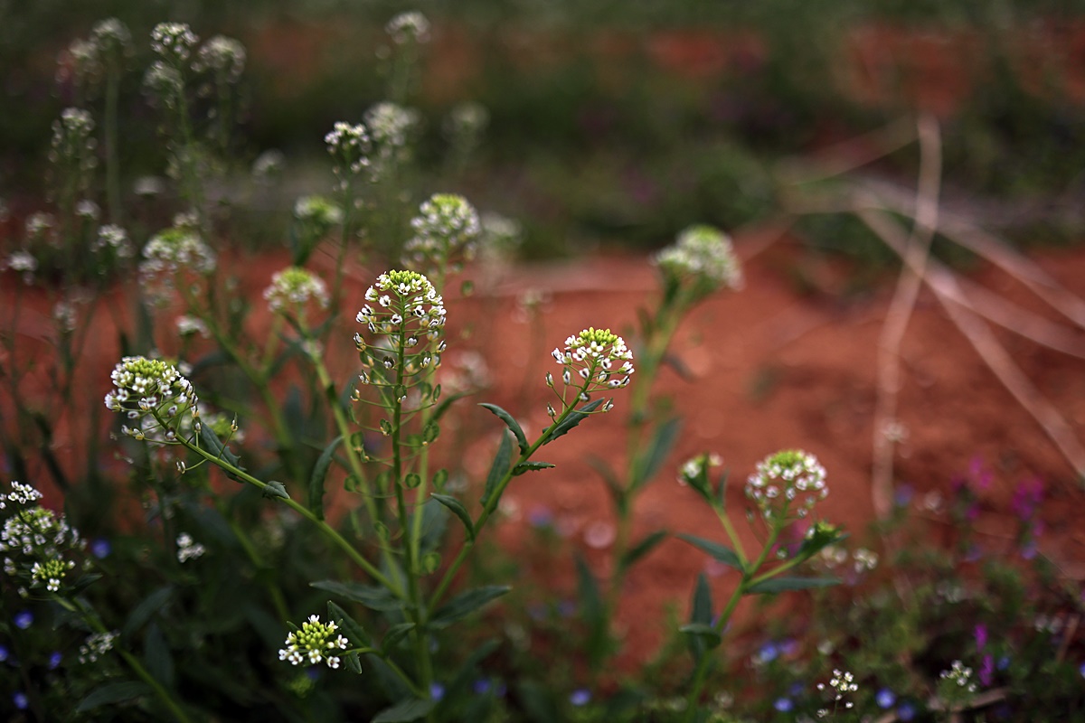 25-04-12 (109)-1.JPG