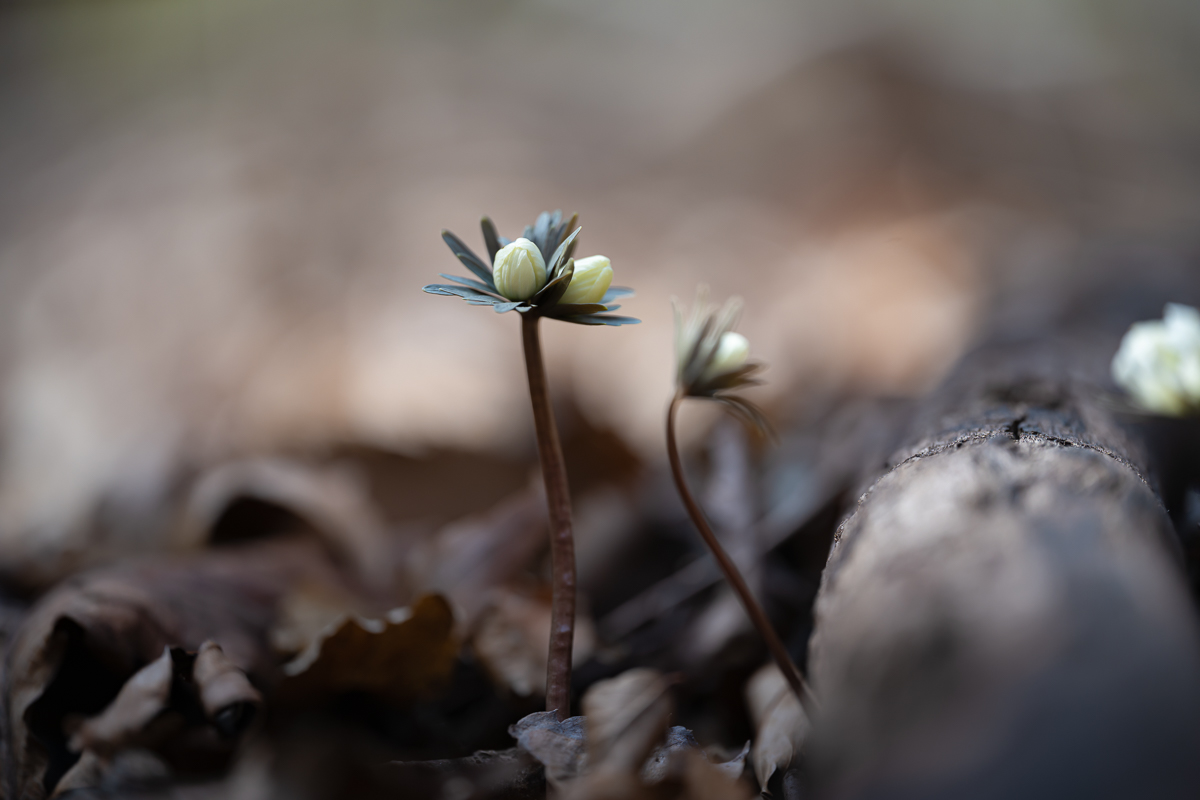 DSC_7058-편집.jpg