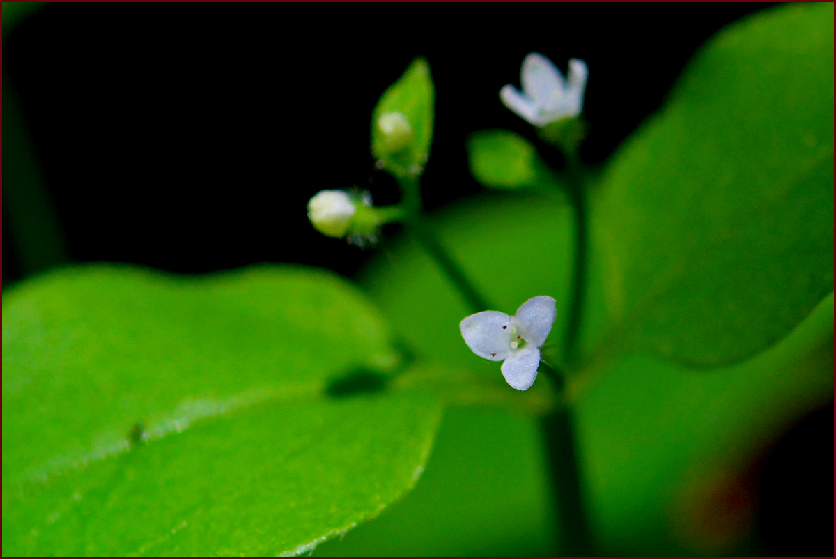 DSC_2289.jpg