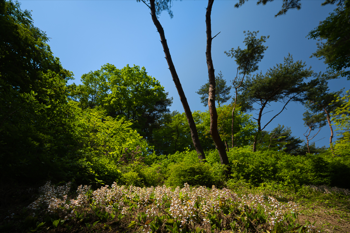 DSC_3651.jpg