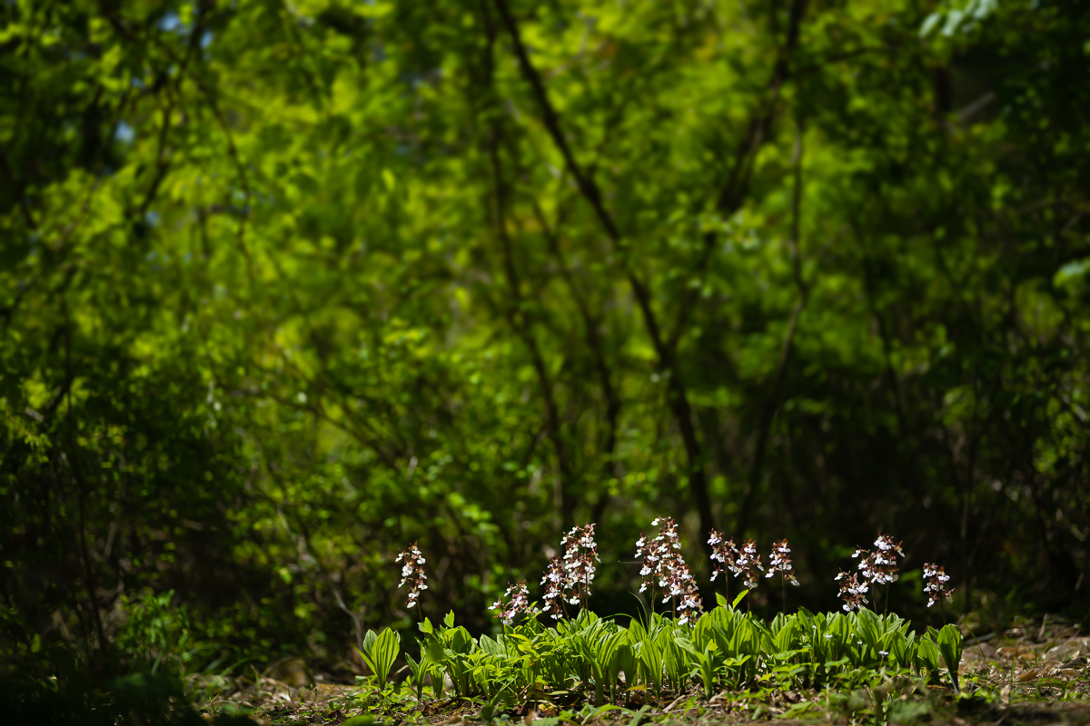 DSC_3791.jpg